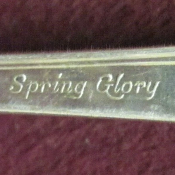 Tenedor de ensalada International Sterling SPRING GLORY 6 1/2" 38g sin monograma   Foto 4 de 4