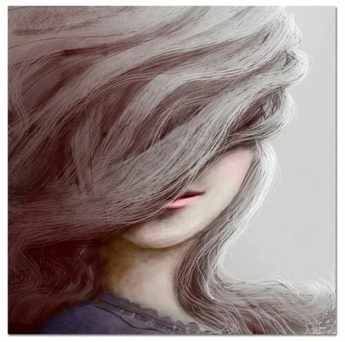 Canvas Framed Decorative Posters & Prints