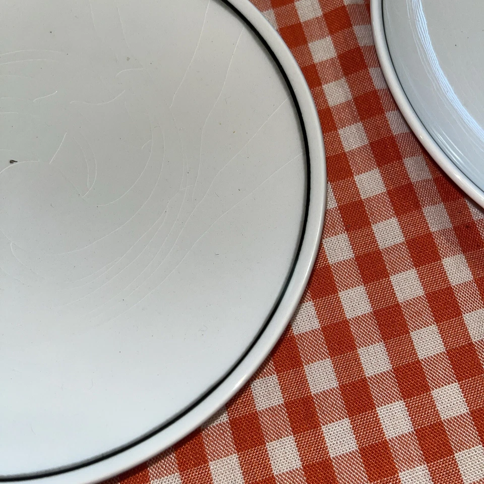 Platos de pan y mantequilla Franciscan Bird 'N Hand borde negro 8 platos Foto 2 de 4