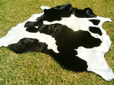 BIG ! NEW ! BLACK & WHITE Cowhide Rug natural Cowhides Cow Hide Skin 6X6 FEET BS