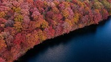 Landscape nature fall trees water forest Custom Gaming Mat Desk