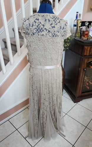 NWT CANDALITE Beige Metallic Lace Tulle Trim Cap Sleeve Long Party Dress Sz 1X - Picture 4 of 14