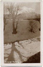 Studio sull'albero originale 1915 TIROLO, motivo presso Mutters, TIROL di Leo Stainer