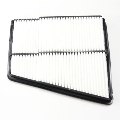 For Hyundai Genesis 12-14 3.8L 5.0L Kia K900 15-17 Engine Air