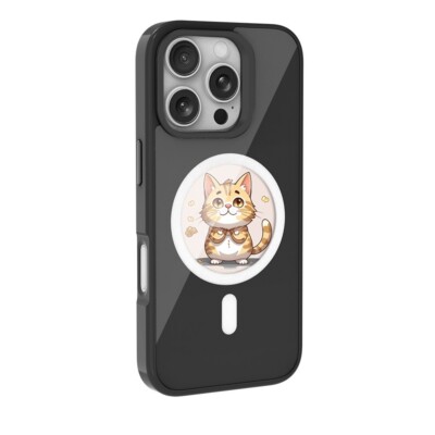 FLEAVER Ink Screen Case Four Color E Ink Screen with NFC For iPhone 16 Promax