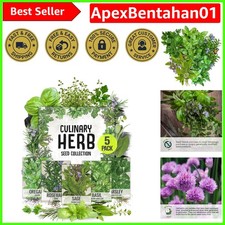 Italian Herb Seed Packet Collection - Non-GMO & Heirloom Varieties for Gardening
