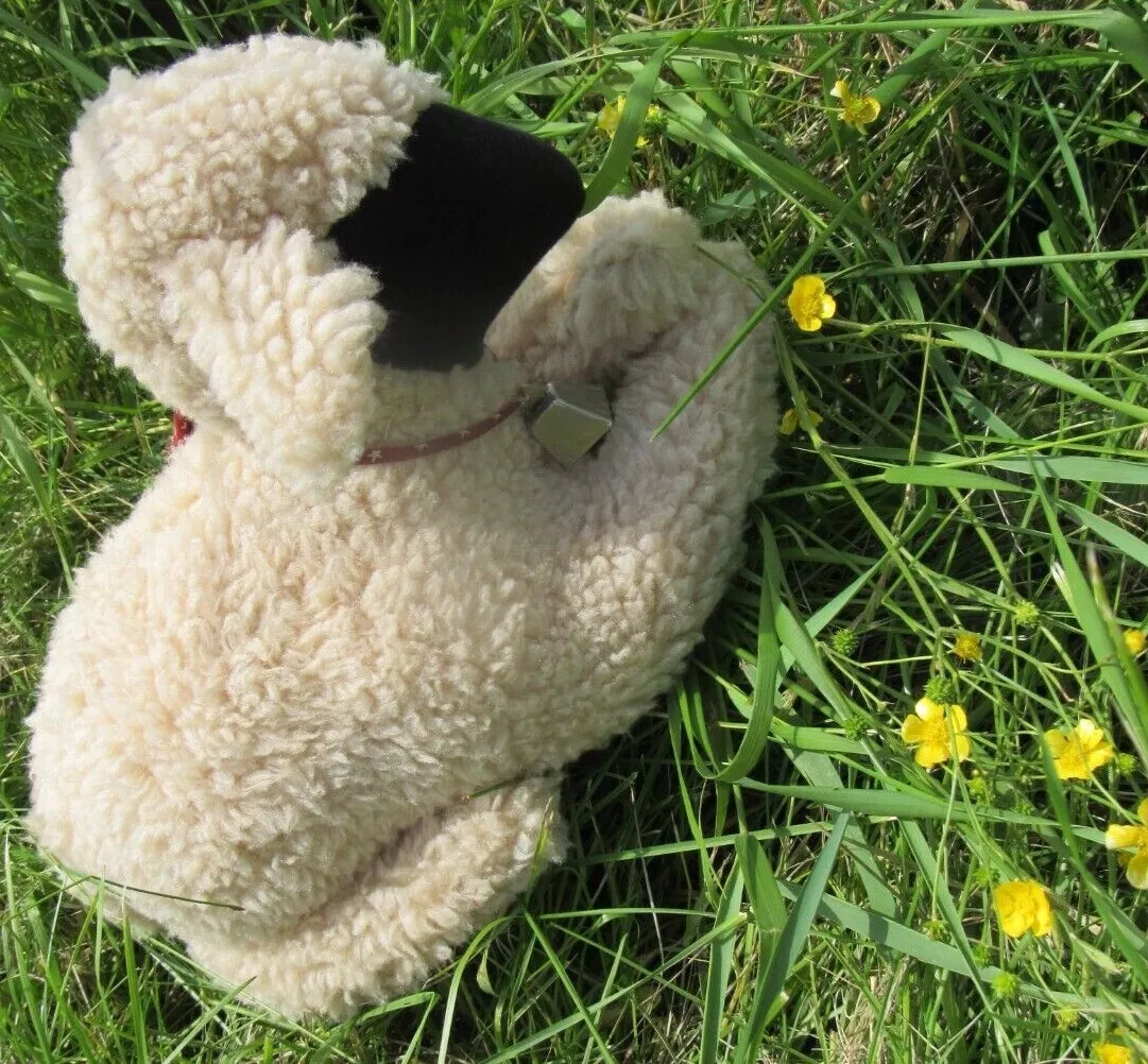 Sheep that look cheap like teddy bears