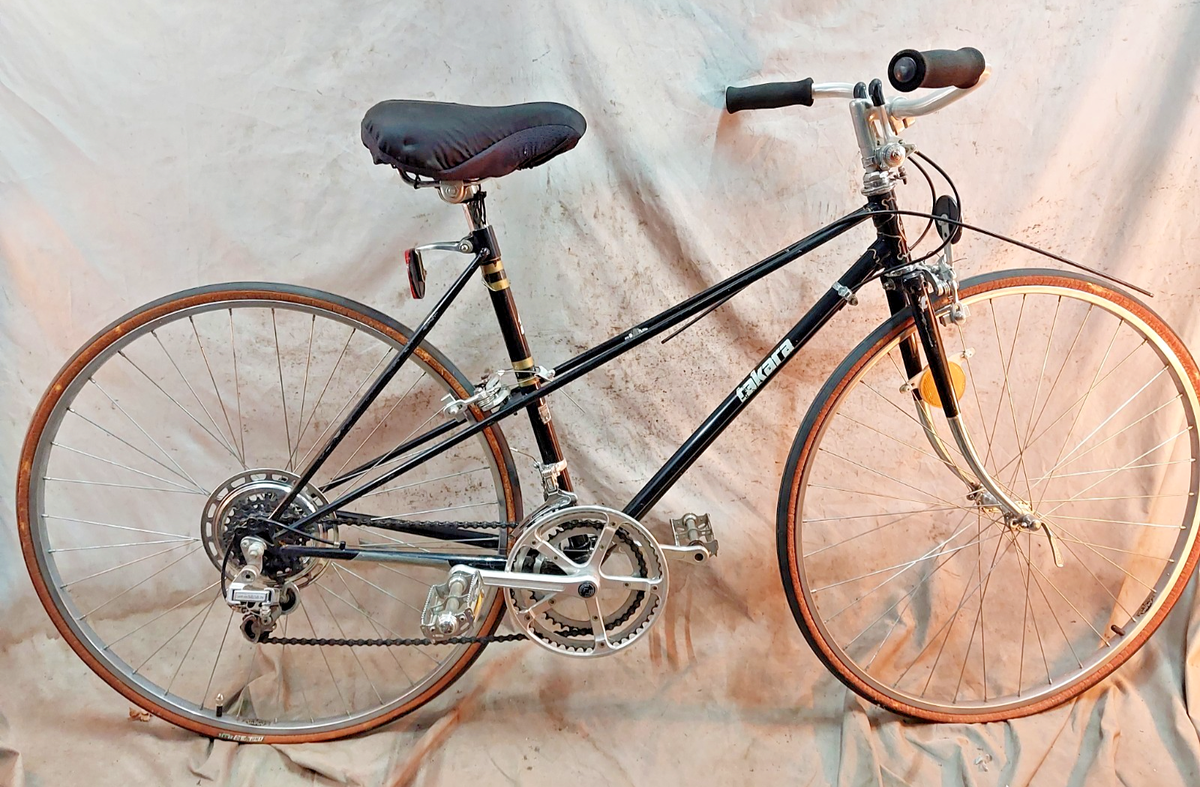 1976 Takara Mixte Cruiser Bike 50cm Small Steel Step-Thru Made in