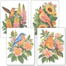 Astrakuma Studio Paint by Numbers Kit for Adults Beginner 9x12 inches, Multi