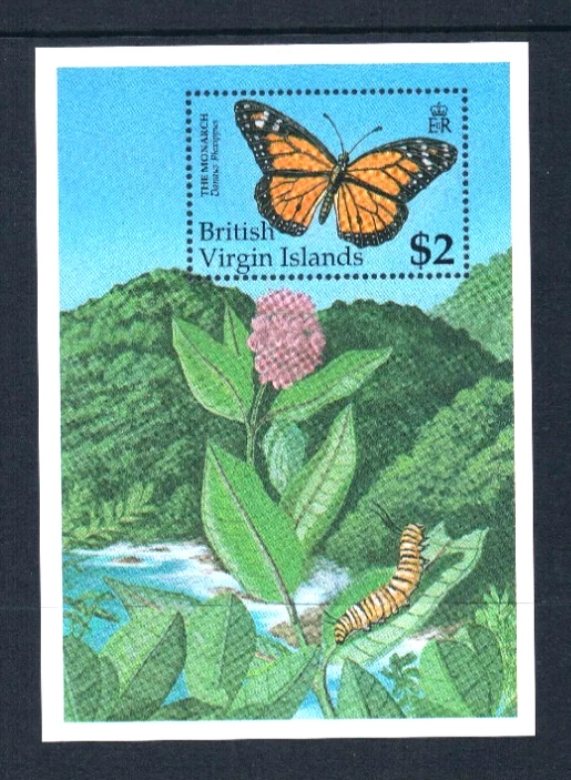 17.50 美元 Scott Value - 1991 年英属维尔京群岛 VIRGIN ISL 蝴蝶 2 秒/秒 加勒比 CV 全新 NH UMM — 第 4/4 张图片