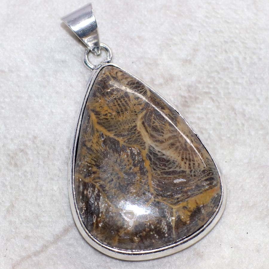Fossil Coral 925 Silver Plated Pendant 2