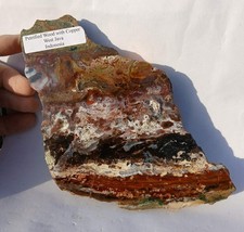 459g raro legno pietrificato indonesiano con rame in tutto. Il video è imperdibile.