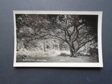 SURREY:  A VIEW OF ADDINGTON, CROYDON - RP - UNPOSTED