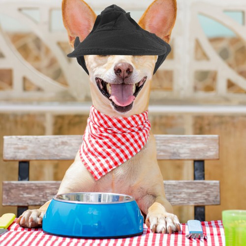 Baseballhut Sommer Hund atmungsaktiv Haustier Schirmmütze verstellbar Welpe Sonnenhut - Bild 4 von 12