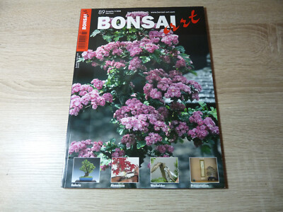 bonsai olivenbaum selber machen Olivetree Olea Europaea bonsai XXL main image 0