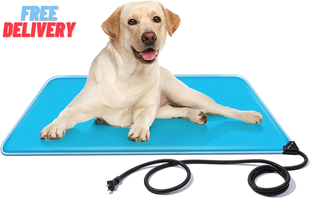 Heated pad for dogs clearance outside