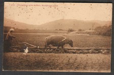 KM & Co Hong Kong post card Ploughing with buffalo Hongkong local