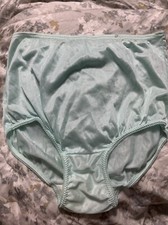 Vintage Soft SILKY NYLON Stretch Shiney USA, Sz 5 Mint Panties