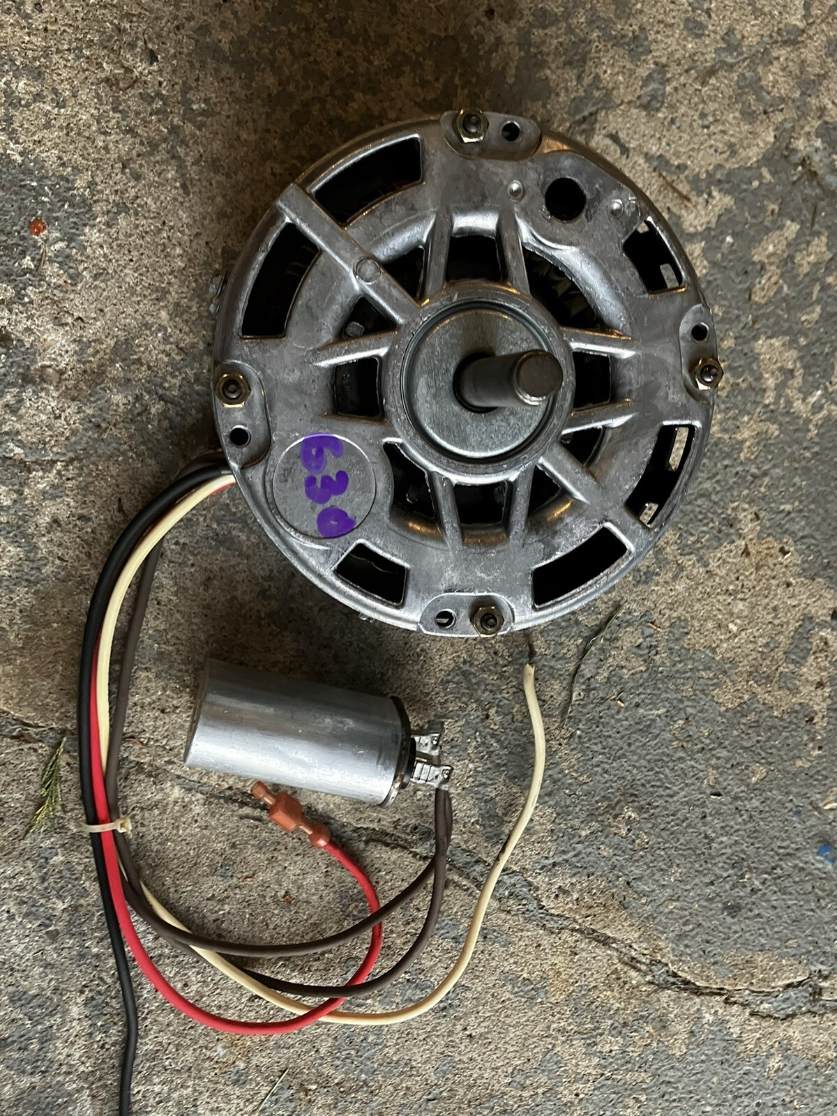 Picture 19 of 24