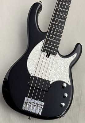 Modulus FB5 Used 2001 Alder body 5 string Black w/Hard case