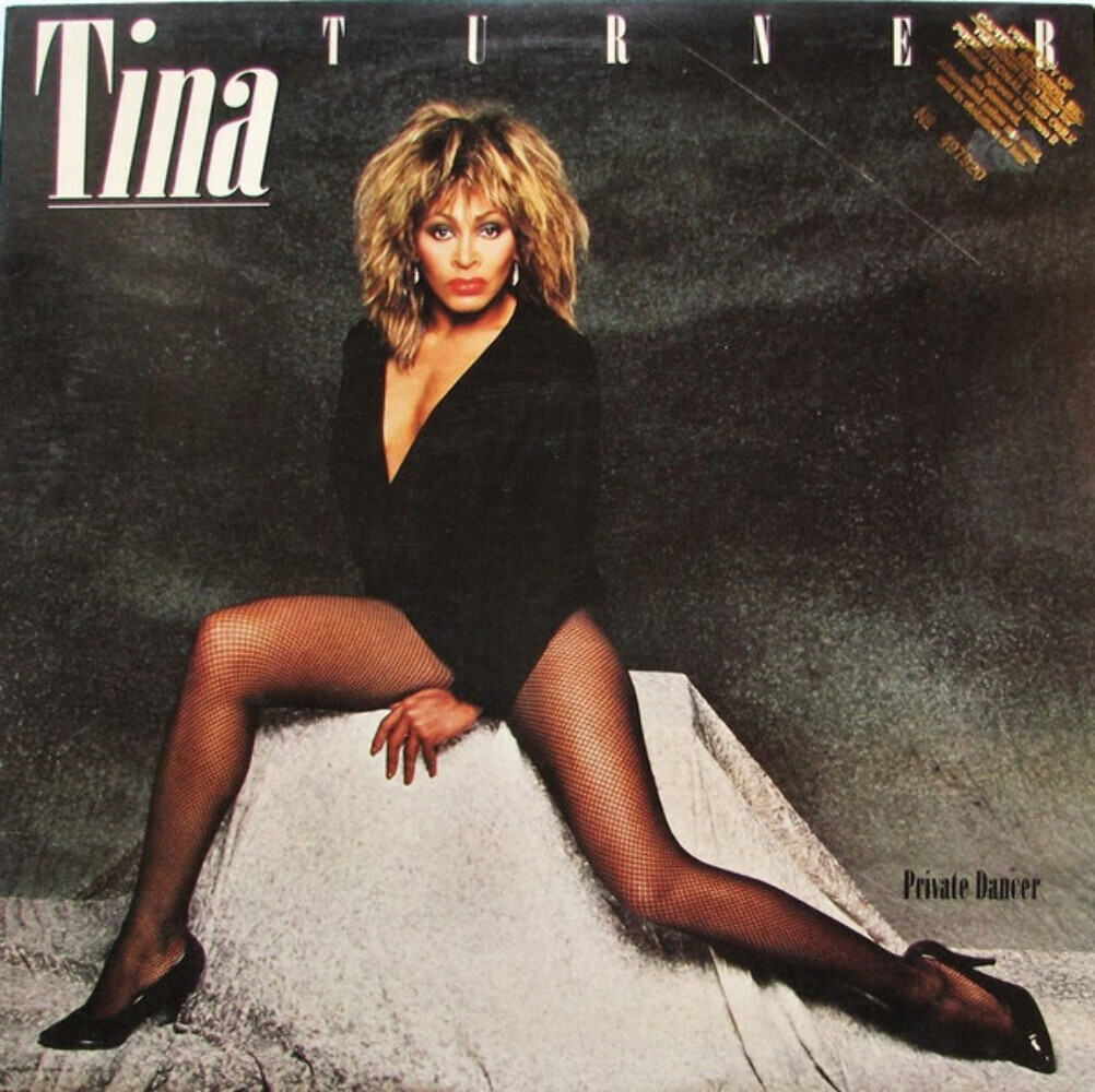 Tina Turner Private Dancer レコード Tina Turner - Private Dancer (40th Anniversary Edition