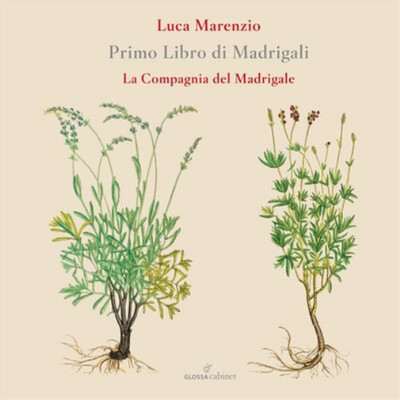 Luca Marenzio Luca Marenzio: Primo Libro Di Madrigali (CD) Album