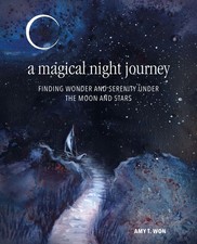 A Magical Night Journey | Finding Wonder and Serenity Under the Moon and Stars