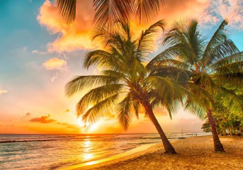 Tropical Beach Sunset Paradise Full Wall Mural Photo Wallpaper Home Decal 3D Kid - Photo 1 sur 11