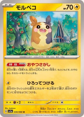 Morpeko / モルペコ 030/066 U SV5a Crimson Haze Pokemon Japanese | eBay