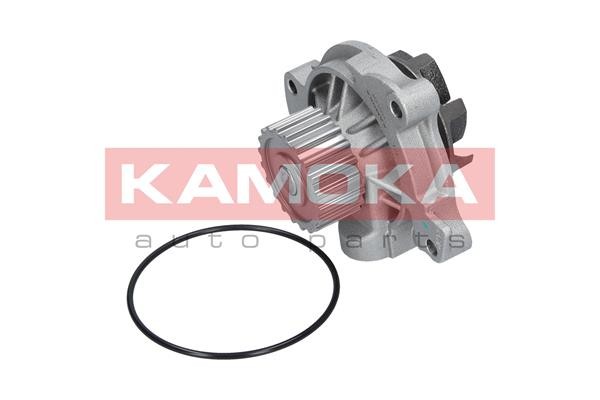 T0042 Kamoka Wasserpumpe FüR AUDI,BMW,CITROËN,MERCEDES-BENZ,NISSAN,VOLVO,VW-image