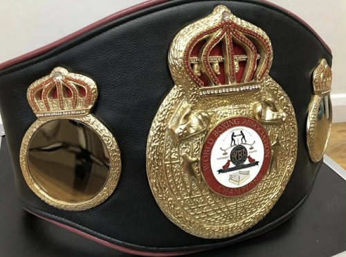 WBA World Boxing Association Championship Belt - full Display Model - Picture 3 of 11