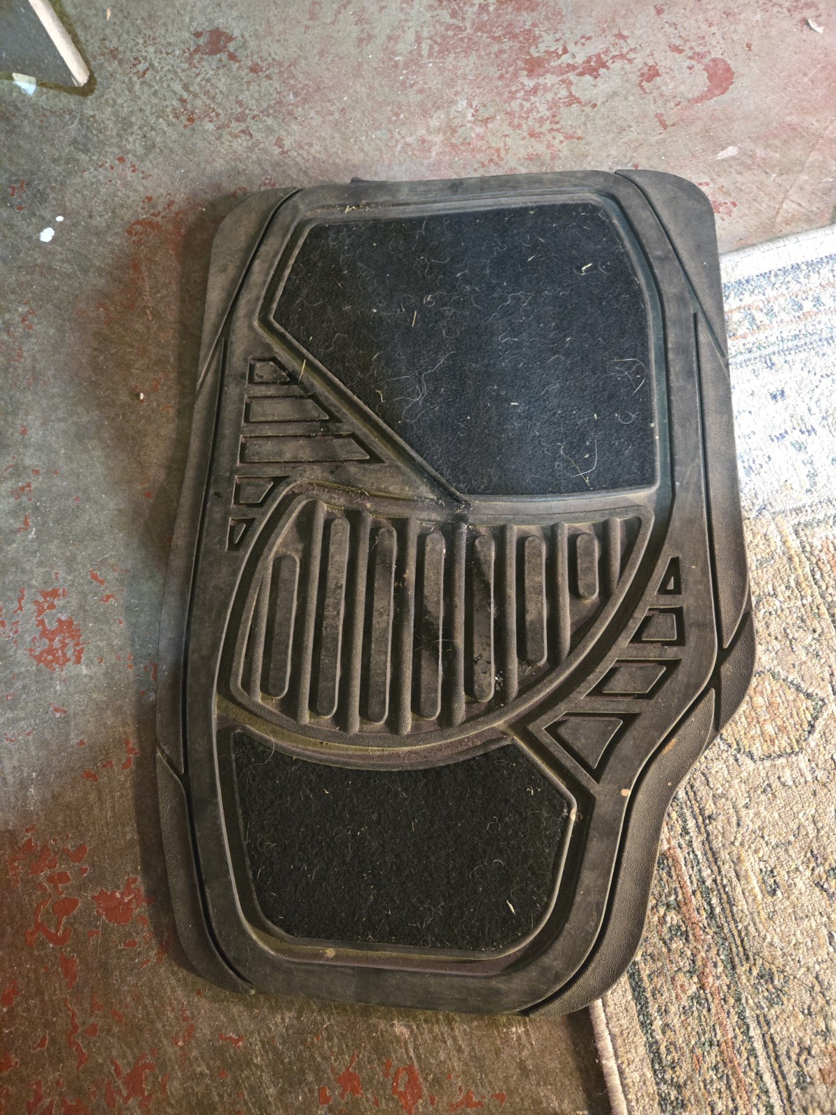 Picture 5 of 13