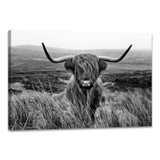 Highland Cow Wall Art Black and White Animal Wall Decor Canvas Cow Picture Hi...
