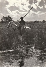 CPSM IN CAMARGUE WITH GUARDIANS IN TWILIGHT PEACE