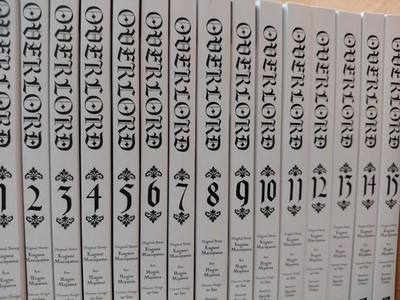 Carlsen Manga Overlord Band 1-15  Fantasy/SF