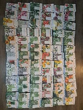 Southern Exposure Seed Exchange Organic Seeds 30 Pack Vegetable And Herb Mix 