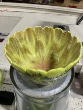 Real Home Green, Yellow and Brown Dishwasher And Microwave Safe