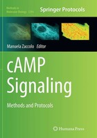 Manuela Zaccolo | Camp Signaling | Taschenbuch | Englisch (2016) | X | Springer