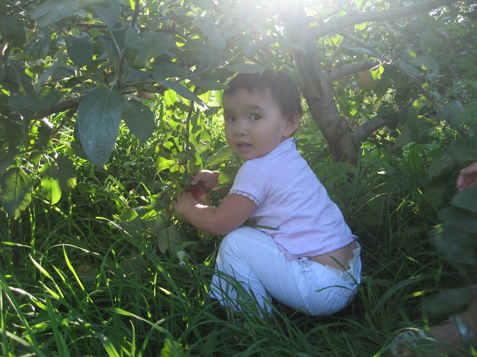 Victoria's Secret Eye Shadow Palette 6 colors - Image 3 of 3