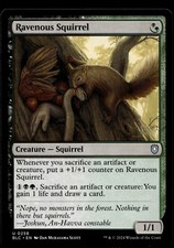 Ravenous Squirrel #258 MTG Bloomburrow NM X1