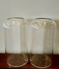 glass flower vase clear