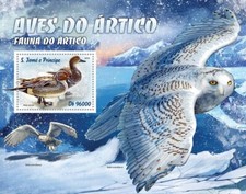 ARCTIC BIRDS Ducks/Owls Birds/Bird MNH 1v-Stamp Sheet #1505 (2016 Sao Tome)