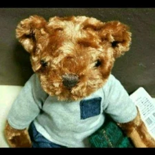 Tully's Coffee 2020 Bear Green Cloak ver. #5fb4c0