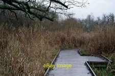 Photo 12x8 Morden Hall Park Morden/TQ2568 Boardwalk in the wetlands area. c2021
