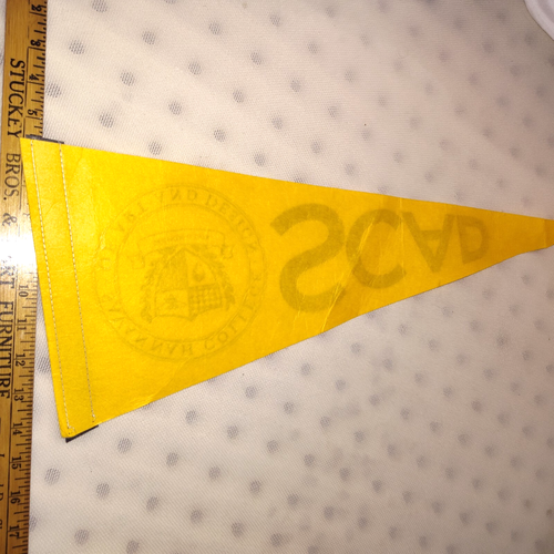 Banderín de fieltro amarillo SCAD Savannah College of Art and Design 28" - Imagen 6 de 6