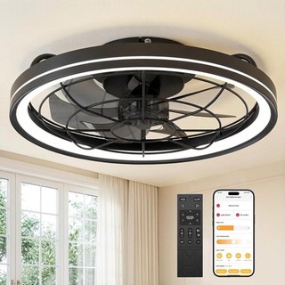 50cm Ceiling Fans with Lights and Remote Protective Cage 6 Speeds