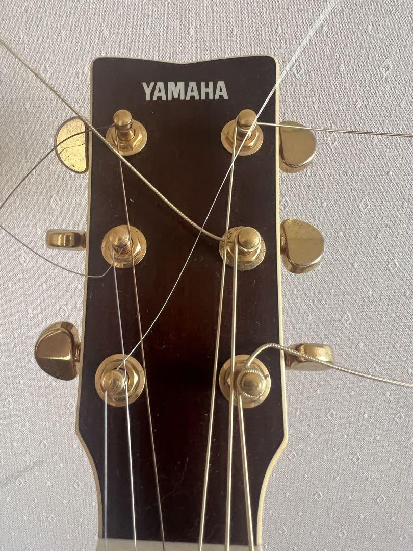 YAMAHA LL16are lefty セミハードケース付 Yamaha Ll16Are Lefty With Semi-Hard Case | eBay