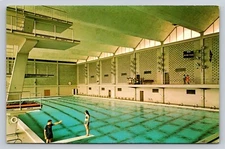 Swimming Pool Diving Board People University of Pittsburgh Pennsylvania P659