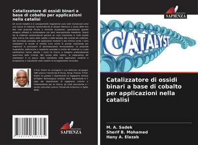 M. A. Sadek (u. a.) | Catalizzatore di ossidi binari a base di cobalto per...