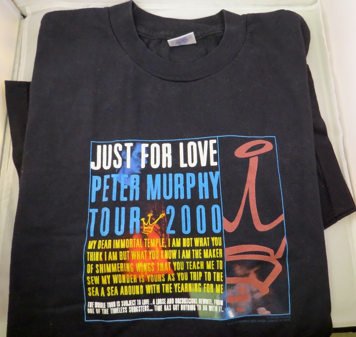 Vintage PETER MURPHY (Bauhaus) 2000 - Concert T Shirt - Goth Punk 